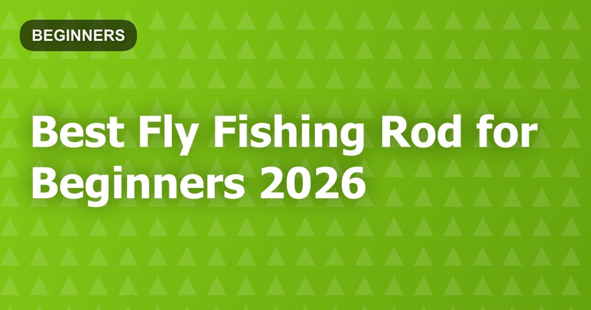 Best Fly Fishing Rod for Beginners 2026